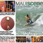 Maui Scene